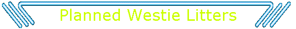 Planned Westie Litters