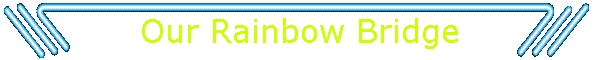 Our Rainbow Bridge